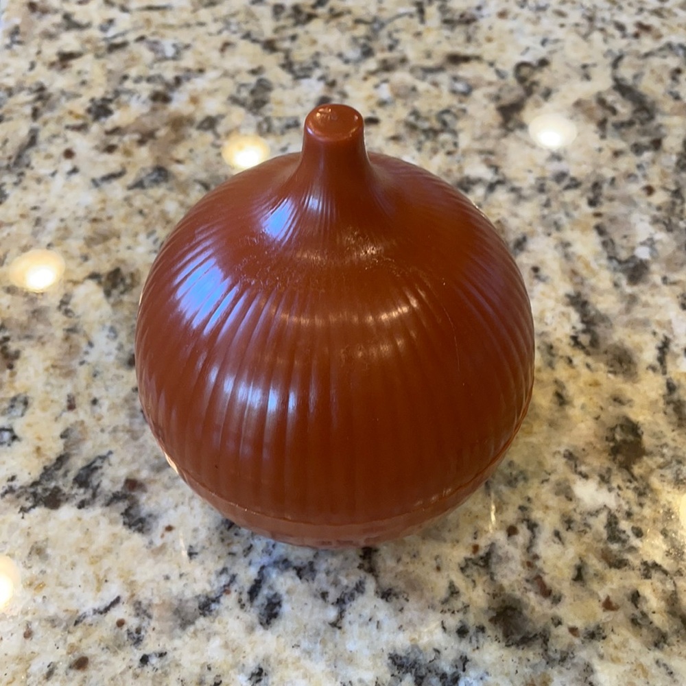 Onion keeper/saver